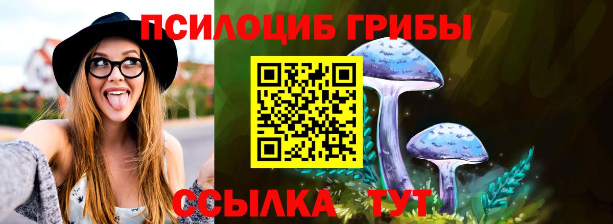Псилоцибиновые грибы прущие грибы  Вход с VPN  Тихвин 